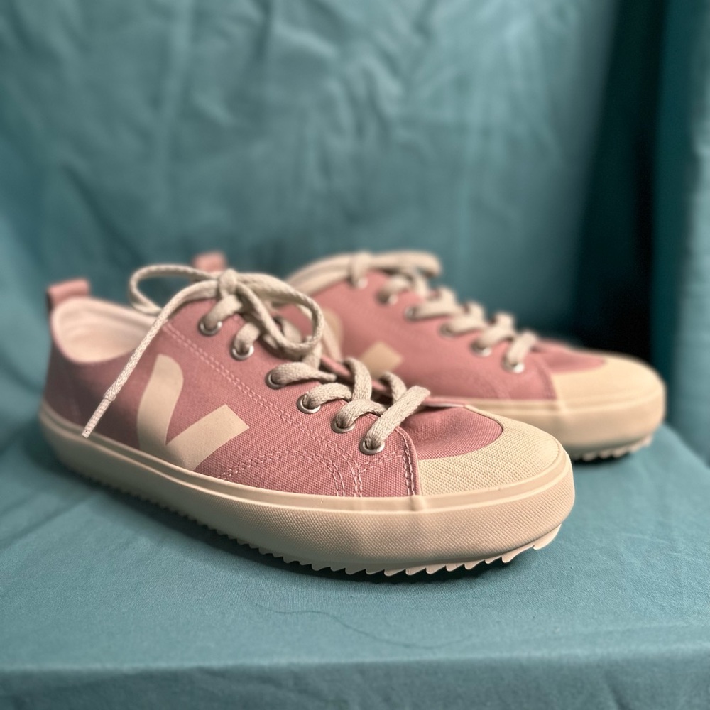 Veja canvas shoes